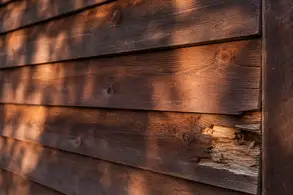 Damaged Cedar Siding Section