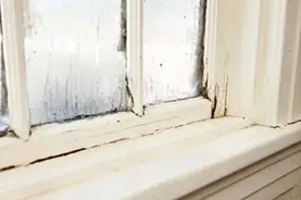 Stop Throwing Away Money with Old Windows
